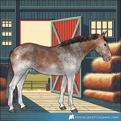 Horse Color:White Spotted Bay 
