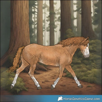 Horse Color:Chestnut and Chestnut