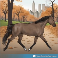Horse Color:Liver Red Dun Rabicano 