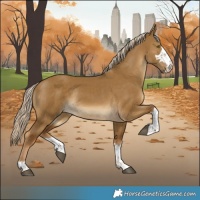 Horse Color:Chocolate Palomino Dun Rabicano