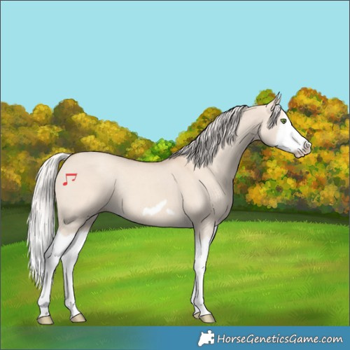 Horse Color:Silver Classic Champagne Dun Splash Frame
