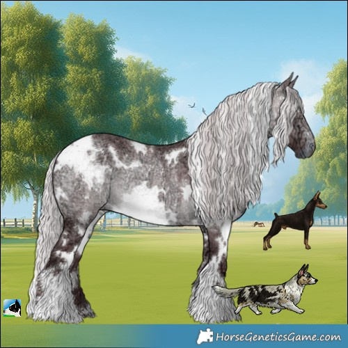 Horse Color:White Spotted Chocolate Silver Brown Chinchilla Ice Rabicano 