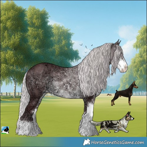Horse Color:Chocolate Silver Brown Chinchilla Ice Sabino