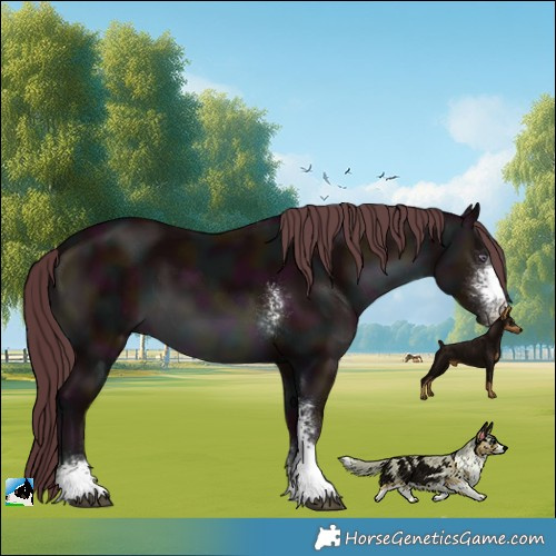 Horse Color:Midnight Chocolate Brown Chinchilla Sabino