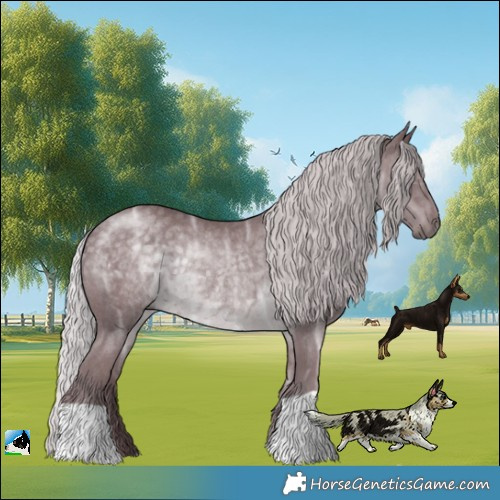 Horse Color:Chocolate Silver Black Chinchilla Ice Rabicano