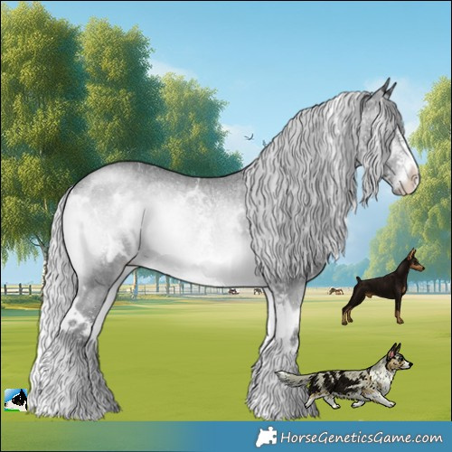 Horse Color:White Spotted Silver Brown Chinchilla Onyx Sabino Rabicano