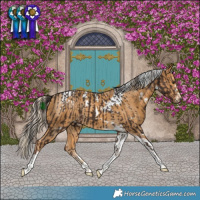 Horse Color:Liver Chestnut and White Spotted Palomino Tobiano Rabicano