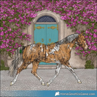 Horse Color:Liver Chestnut  and White Spotted Palomino Tobiano Rabicano 