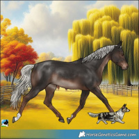Horse Color:Liver Chestnut Mushroom Rabicano