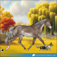 Horse Color:Liver Red Dun Mushroom 
