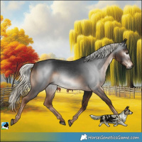 Horse Color:Gray Liver Chestnut Mushroom