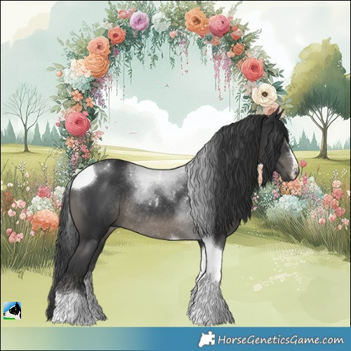 Horse Color:Black Tobiano Rabicano