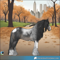 Horse Color:Black Tobiano Rabicano