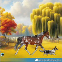 Horse Color:White Spotted Brown Rabicano 