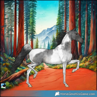 Horse Color:Blue Roan Tobiano Rabicano 