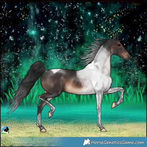 Horse Color:Brown Tobiano Rabicano 