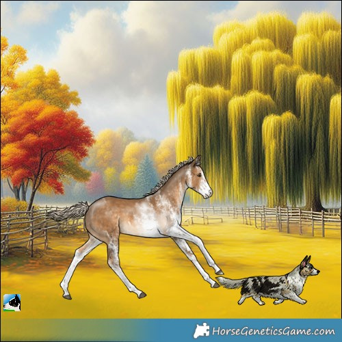 Horse Color:White Spotted Chocolate Palomino 