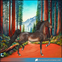 Horse Color:Brown Tobiano Rabicano 