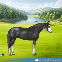 Horse Color:White Spotted Liver Chestnut Mushroom Rabicano
