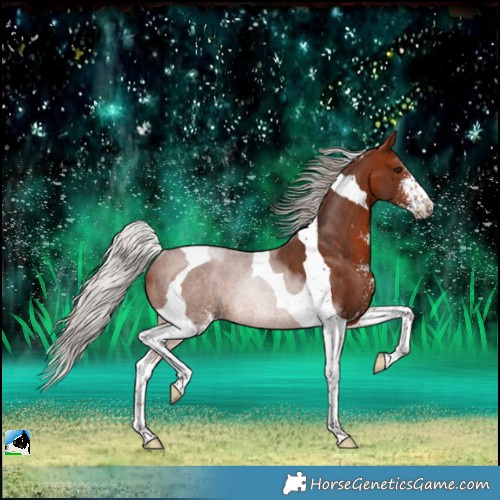 Horse Color:Silver Brown Sabino Tobiano Rabicano 