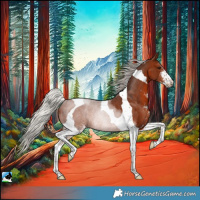 Horse Color:Silver Brown Sabino Tobiano Rabicano 