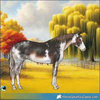 Horse Color:Liver Chestnut Sabino