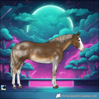 Horse Color:Chocolate Palomino Mushroom Splash Rabicano 
