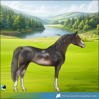 Horse Color:Liver Chestnut Mushroom Rabicano 