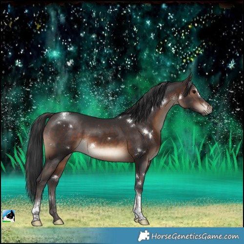 Horse Color:White Spotted Brown Tobiano Rabicano 