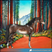 Horse Color:White Spotted Brown Tobiano Rabicano 