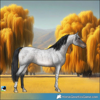 Horse Color:Brown Roan Mushroom Tobiano Rabicano 
