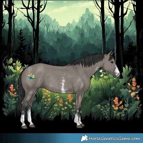 Horse Color:Grullo Sabino Rabicano 