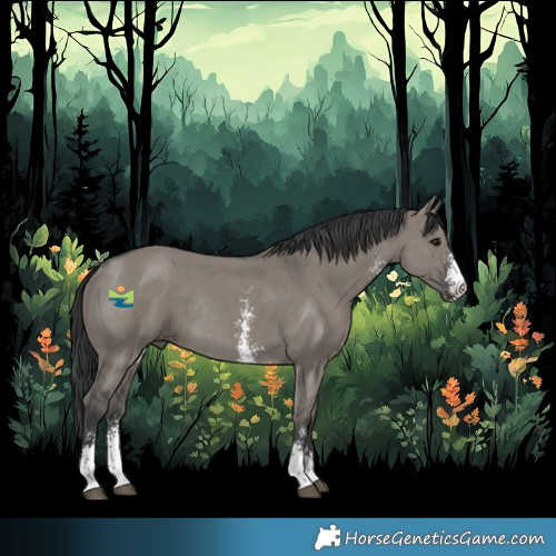 Horse Color:Grullo Sabino Rabicano