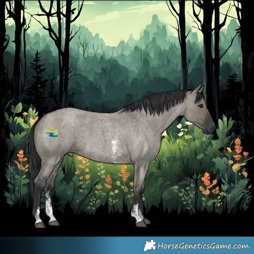 Horse Color:Grullo Roan Sabino Rabicano 