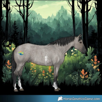 Horse Color:Grullo Roan Sabino Rabicano
