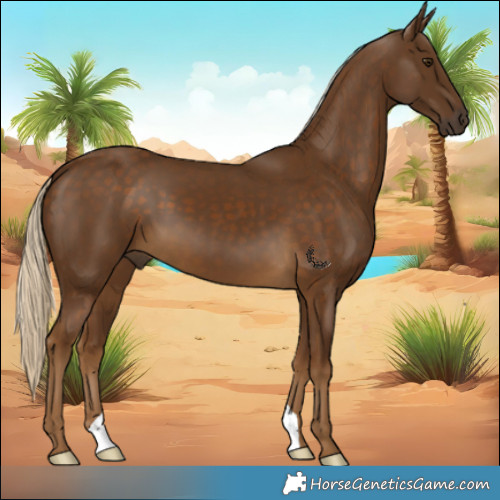 Horse Color:Chocolate Palomino 