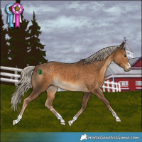Horse Color:Chocolate Palomino 