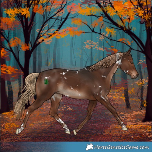 Horse Color:White Spotted Liver Chestnut Rabicano 