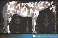 Horse Color:Gray Sable Champagne Tobiano Frame Leopard