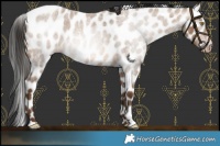 Horse Color:Gray Amber Champagne Roan Leopard 
