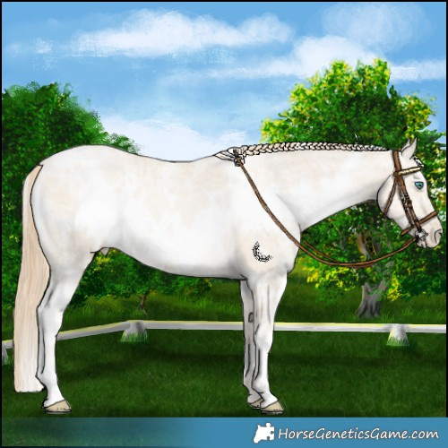 Horse Color:White Spotted Smoky Black Ice Pearl 
