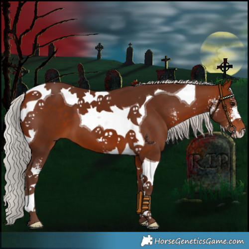 Horse Color:Silver Bay Sabino Tobiano 