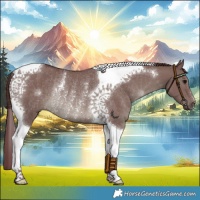 Horse Color:Chocolate Smoky Grullo Tobiano Rabicano