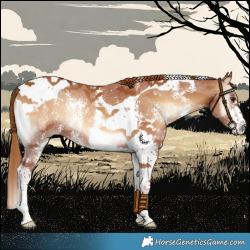 Horse Color:Red Onyx Sabino Tobiano 