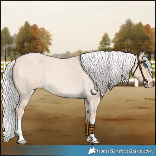 Horse Color:Silver Perlino Roan 