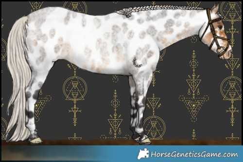 Horse Color:Silver Buckskin Roan Near Leopard 