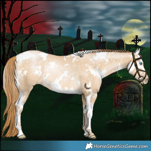 Horse Color:White Spotted Buckskin Pearl Splash Rabicano 