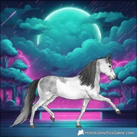 Horse Color:White Spotted Blue Roan Rabicano and White Spotted Blue Roan Frame Rabicano