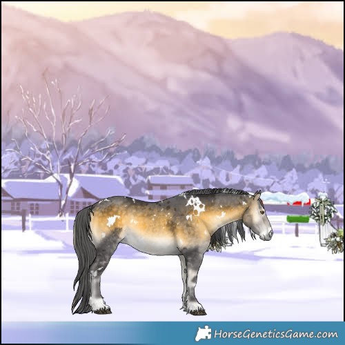 Horse Color:White Spotted Buckskin Onyx Merle 