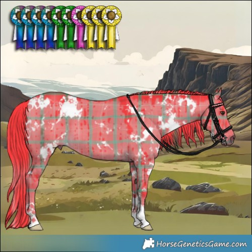 Horse Color:Watercolor Plaid  White Spotted Liver Red Dun Brindle 